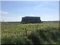 Concrete structure  in a wild field