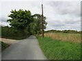 Lane near Buntingford