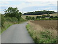 Lane near Buntingford