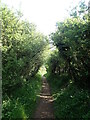 Wales Coast Path