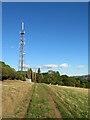 Communications mast at Old Forest