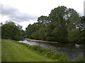 River Wharfe, Ilkley