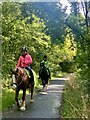 Horse riders in Clyne Valley