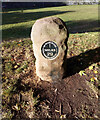 Canal Milestone, Worcester, Rainbow Hill