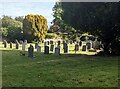 Headstones and trees, Falfield, South Gloucestershire