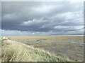 TR0366 : The salt marsh of The Swale NNR by Marathon