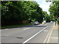 Hampton Court Road (A308)