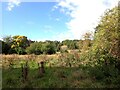 A derelict industrial site, Halfpenny Lane, Knaresborough