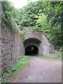 Track under the canal at Gilwern