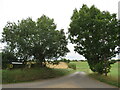 Stockalls Lane, near Great Munden