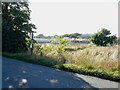 Sevington Lakes from Cheeseman?s Green Lane