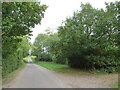 Stockalls Lane, near Great Munden