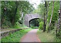 Bridge at Pentre