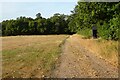 Track and woodland, Englefield