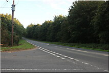 TL8388 : Harling Drove at the junction of Mundford Road by David Howard