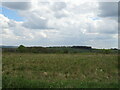 Grassland off the A3090