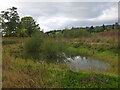 Pond near Long Philip Burn