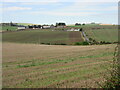 Fields near Flobbets