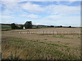 Rows of bales