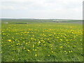 View across the fields to Lochvane