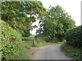 Lane near Dane End, Hertfordshire