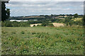 Green space on the edge of Kirkby Woodhouse