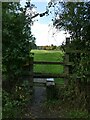 Stile at the south end of Temple Newsam Millennium Woodland