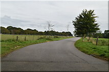 TQ3620 : Wivelsden Farm track by N Chadwick