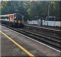 SY7789 : 444035 entering Moreton station, Dorset by Jaggery