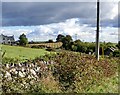 Bridle path running eastwards to join the Dundrine Road