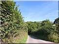 Hedge-lined single track road passing Maendy Farm