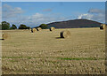 Bales at Crannach