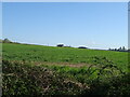 Crop field near Michelmersh