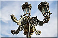 W8993 : Ornate Victorian gas lamp at the entrance to Aghern House, Co. Cork (2) by Mike Searle