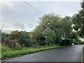 SK4661 : Weeping Willow on Silverdale Lane by Jonathan Clitheroe
