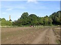 Potato field near Chirnside