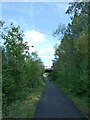 Bridge over Taff Trail near Abercynon