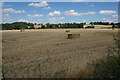 Harvested field near Oxton