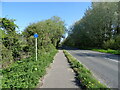 Dual use path beside Leckford Lane (A3057)