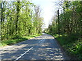 A3057 towards Leckford 