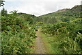 Footpath, Gairloch Estate