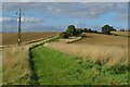 Footpath to Lodge Farm at Dane End