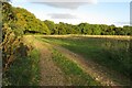 Hertfordshire Way at Bourne Wood