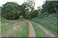 Footpath going in to Bourne Wood