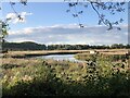 Portrack Marsh Nature Reserve