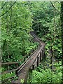 Footbridge over Nant Llech at Henrhyd Falls