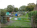 Horstead Trust allotments