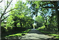 Arbour Tree Lane at Netherwood Heath