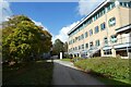 Path behind the Information Centre