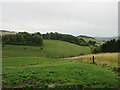 Grassy hillside north of Glentarkie